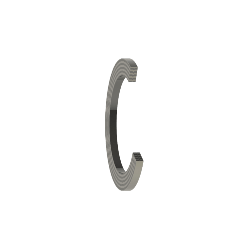 H1 GR+316L 36x50x2.5 (H1DN20PN1040)